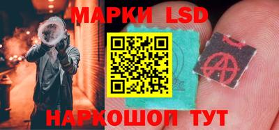 гидропоника Чапаевск