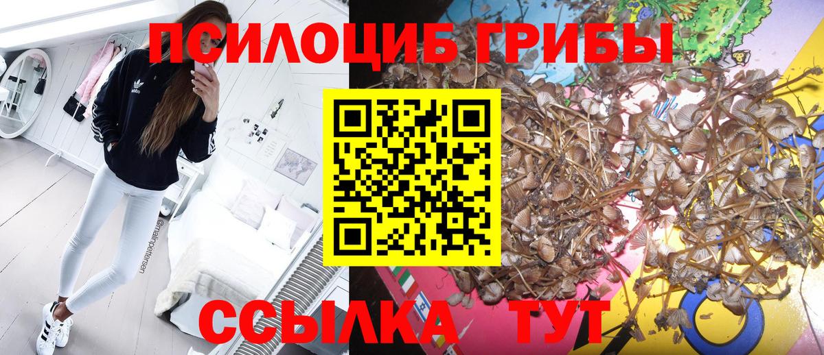 Галлюциногенные грибы Cubensis  Вход с VPN  Амурск 